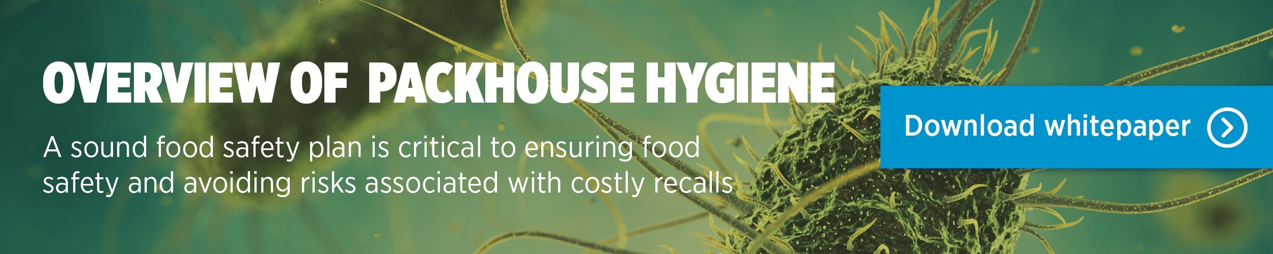 Download our Maintaining packhouse hygiene whitepaper