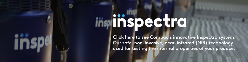 Inspectra systemfor internal grading