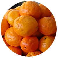 Compac-puff-and-crease-citrus.png