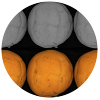 Compac-puff-and-crease.png