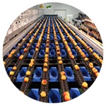10 reasons for defect throughput