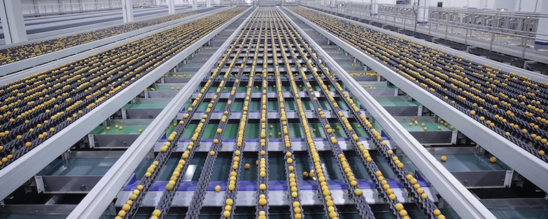 One of the world’s most advanced citrus packhouses