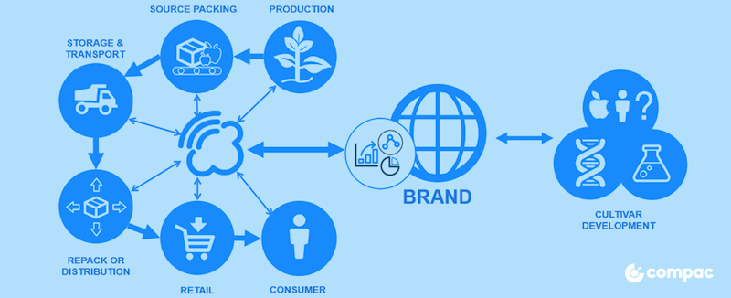 Fruit packing to packed lunch: the value of data in the fresh produce industry