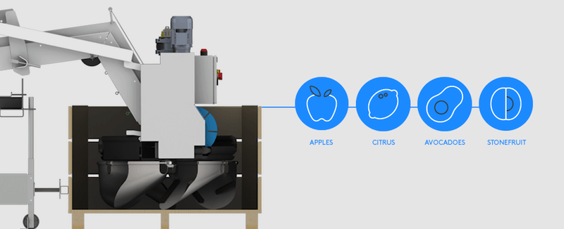 Fruit Sorting Technology: the multi-tool of the packhouse