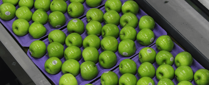 Washington apple indsurty continues to grow