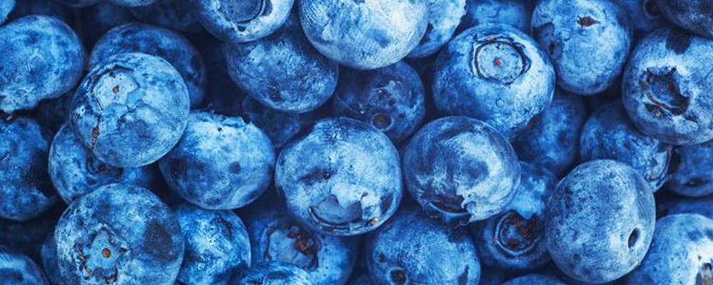 Blueberries.jpg